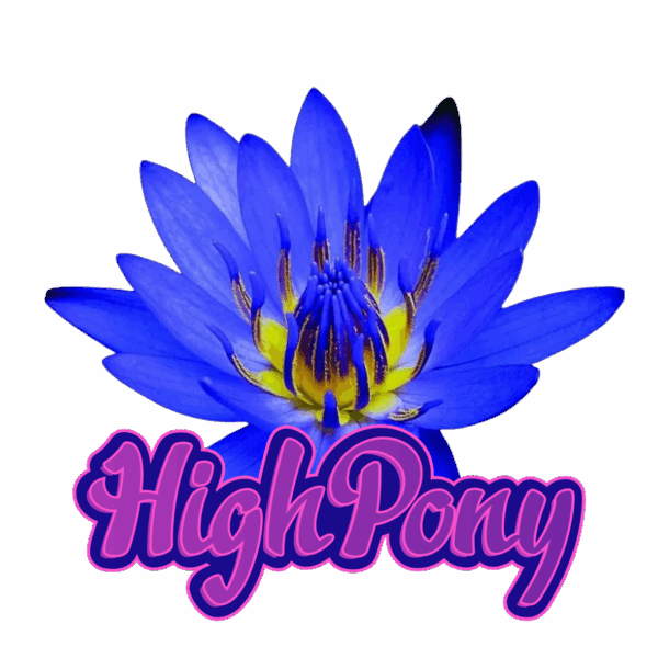 HighPony Blue Lotus