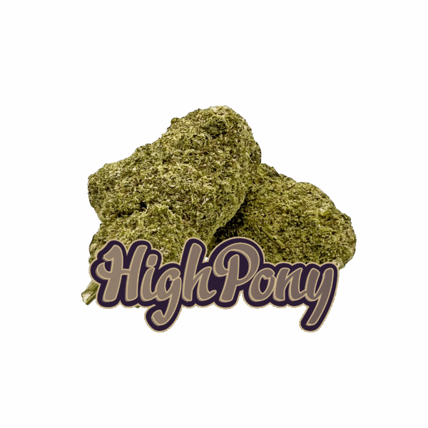 HighPony CBD Kvety (Banana Kush)
