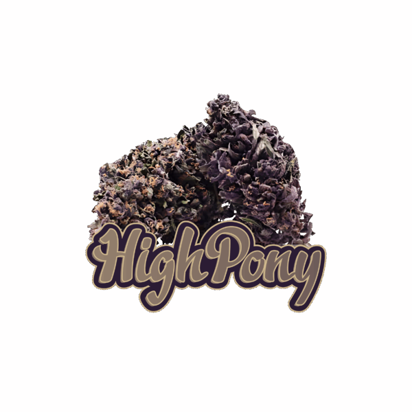 HighPony CBD Kvety (Blueberry Rush)