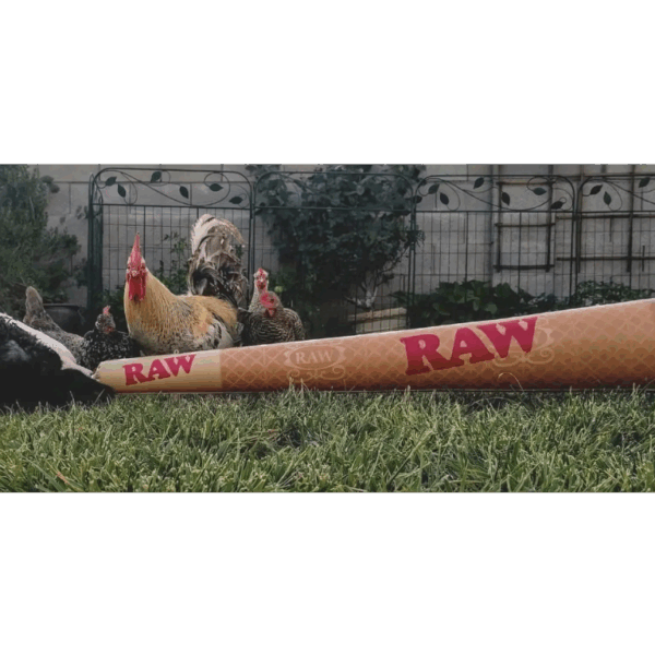 RAW Nafukovací Malý Joint 60 cm