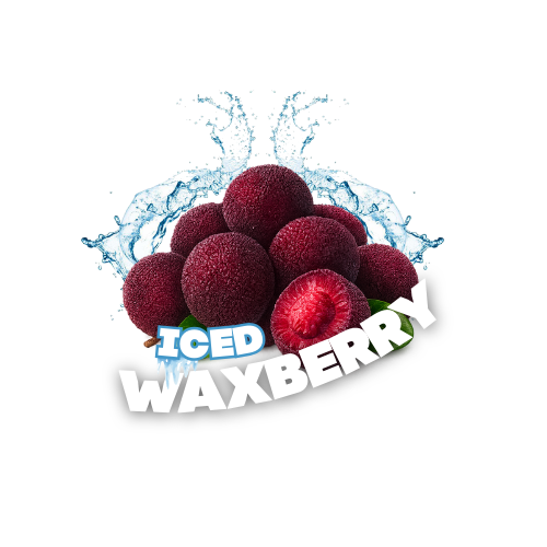 HighPony CHUŤOVEČKY – ICED WAXBERRY 🍇