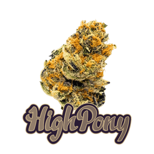 HighPony THCX Kvety (AK-47)