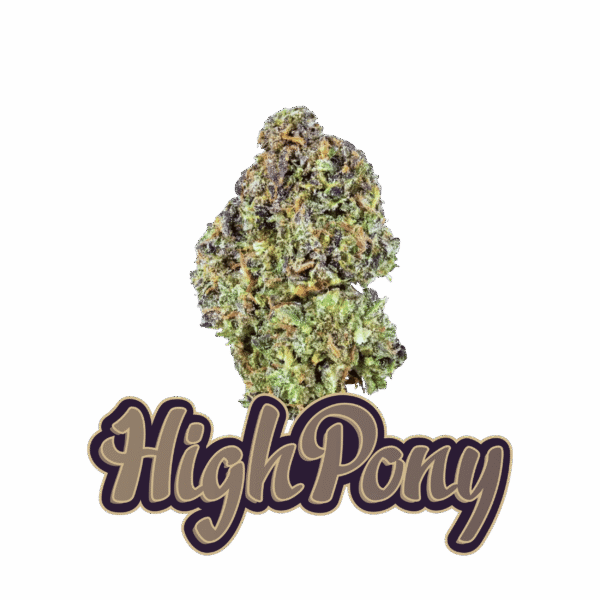 HighPony THCX Kvety (BIG BOOTY)