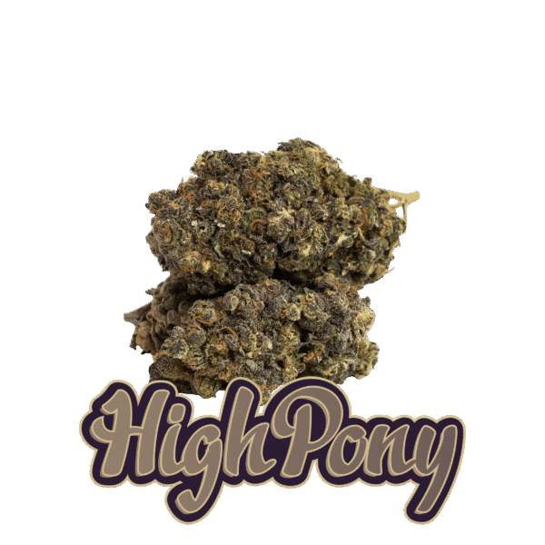 HighPony THCX Kvety (HIGHPONY CEO)